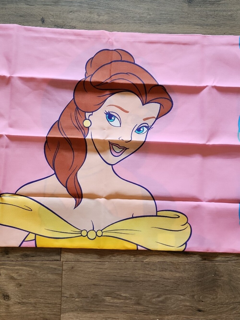 Belle Jasmine Pillowcase Two Sided Disney Princess 90s Pink & Yellow Vintage
